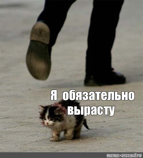 Я обязательно выживу в хорошем качестве