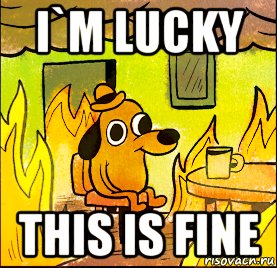 Собака this is Fine