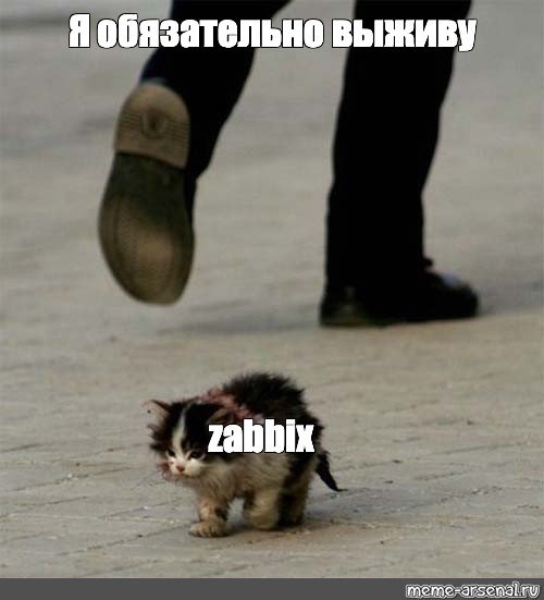 Мем я обязательно выживу с котом