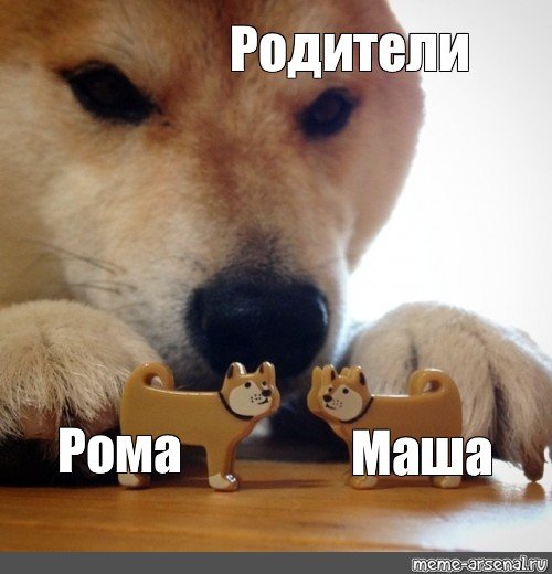 Миритесь собачки