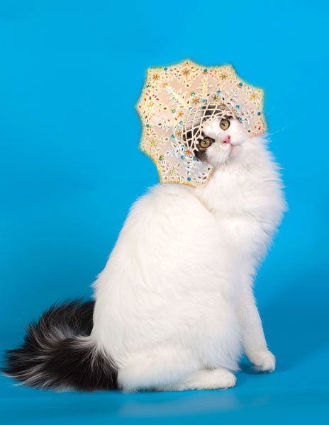 Костюм Снегурочки для кошки