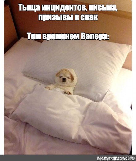 Собачка в постели Мем