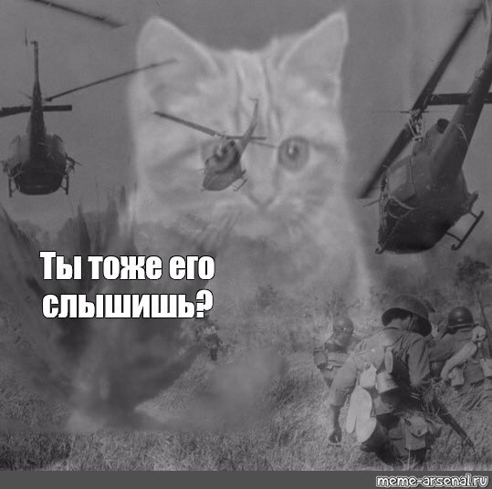 Кот флэшбэк Вьетнам
