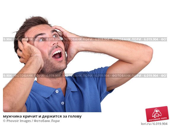 Кот держится за голову и кричит