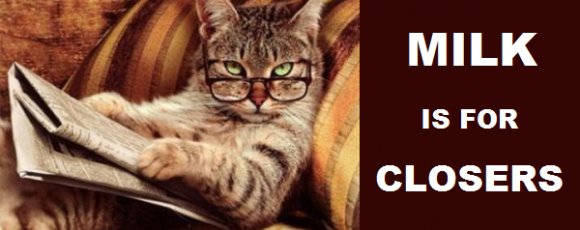 Умный кот в очках