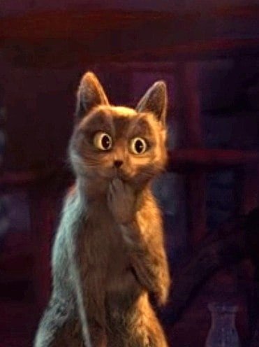 Кот из Шрека оууу