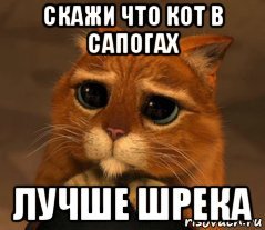 Кот в сапогах мемы в хорошем качестве