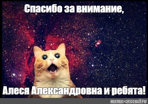 Спасибо за внимание Мем кот