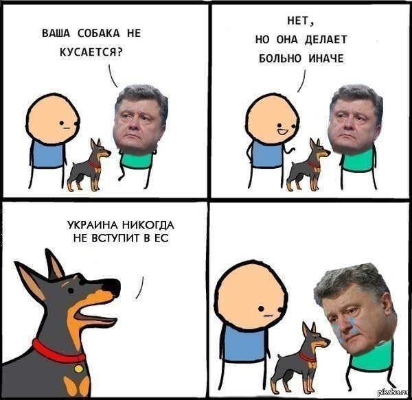 Ваша собака