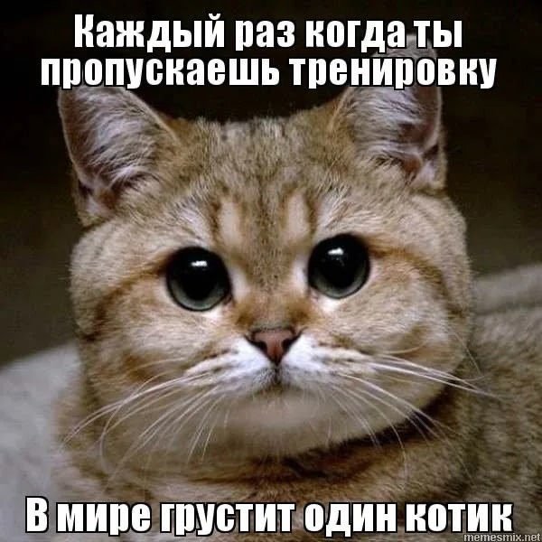 Грустит один котик