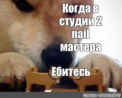 Мем с собакой ебитес оригинал