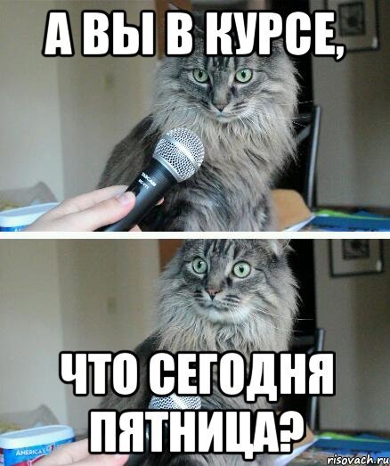 Мемы с котами про понедельник