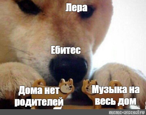 Мем пес ебитес