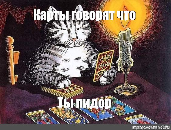 Кот с картами Таро
