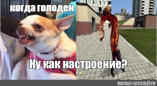Мем когда голодный и покушал