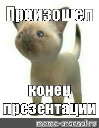 Конец презентации