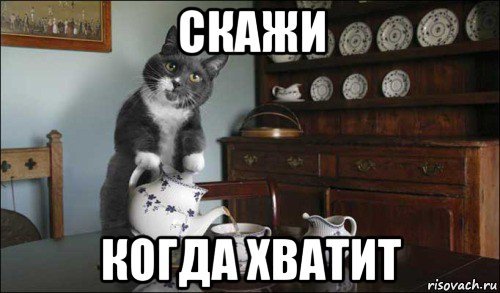 Скажи когда хватит Мем