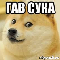 Мем собака Гав Гав