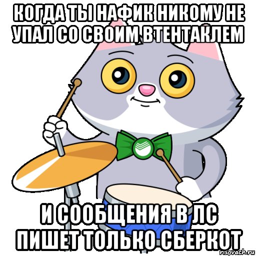 СБЕРКОТ мемы