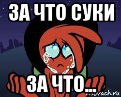 Мемы про сук