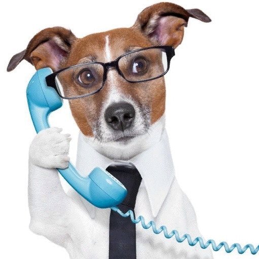 Собака разговаривает по телефону