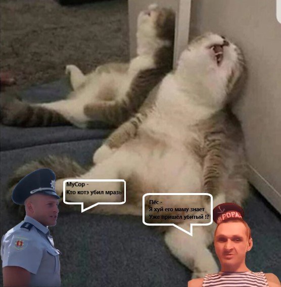 Усталь Мем кот