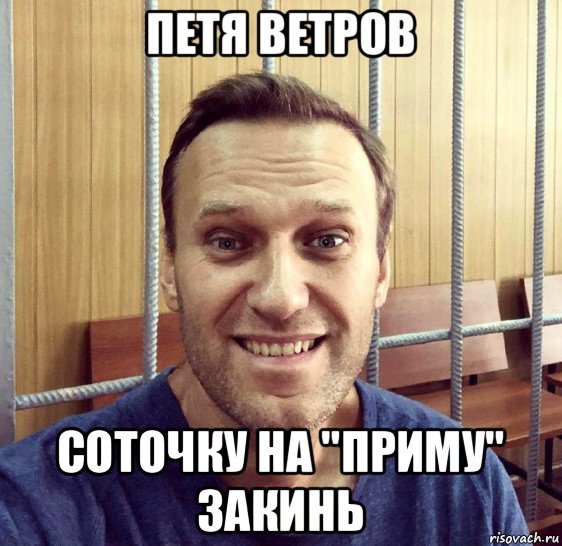 Навальный Мем дошик