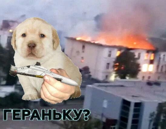 Герань беспилотник Мем