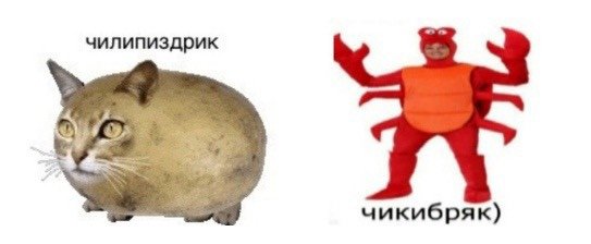 Чикибряк гавкошмыг