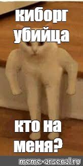 Мем Полукот