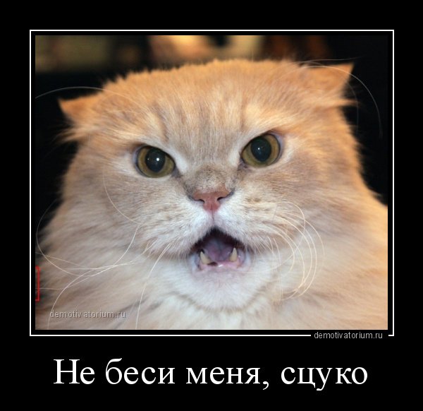 Бесит картинки