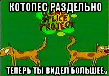 Котопёс песня