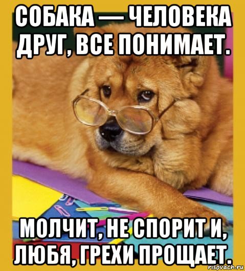 Мемы с собаками