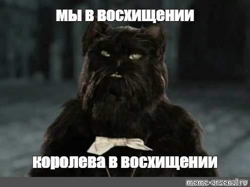 Мы в восхищении Королева в восхищении цитата