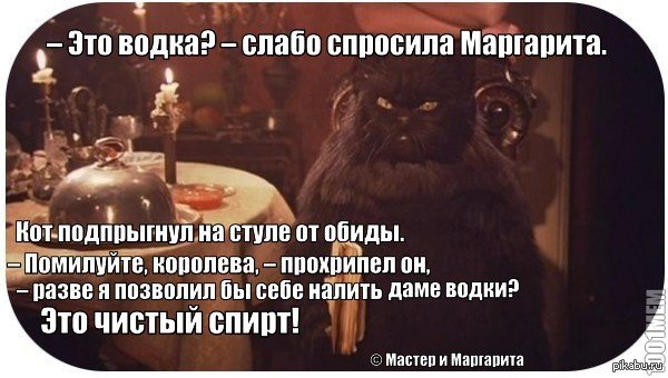 Кот Бегемот из мастера и Маргариты