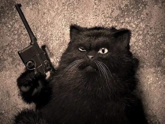 Кот Бегемот с маузером