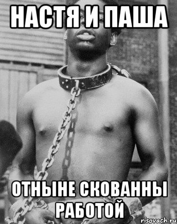 Негры работают мемы