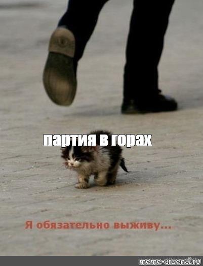 Я обязатлеьо выдиву МПМ