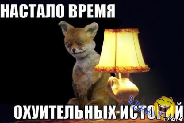 Настало время охуительных историй кот