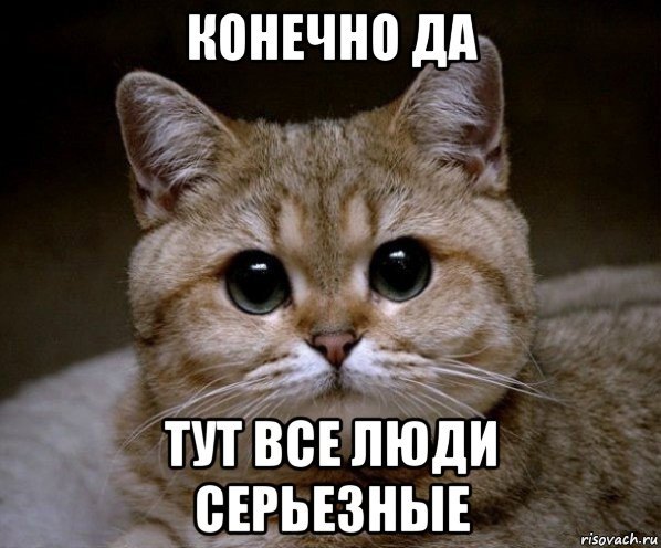 Серьезные мемы