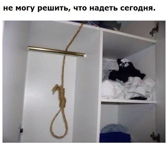 Котик повесился в дверях