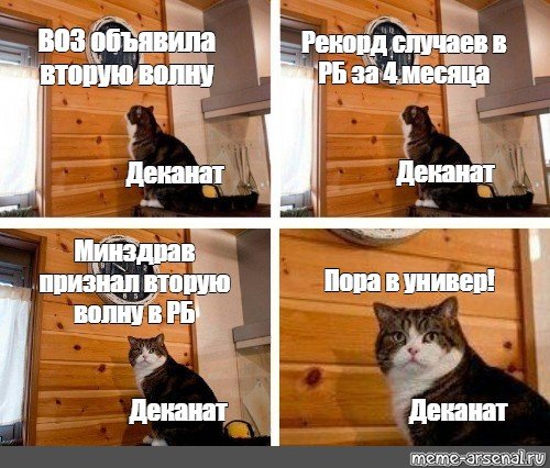 Пора с котом и часами