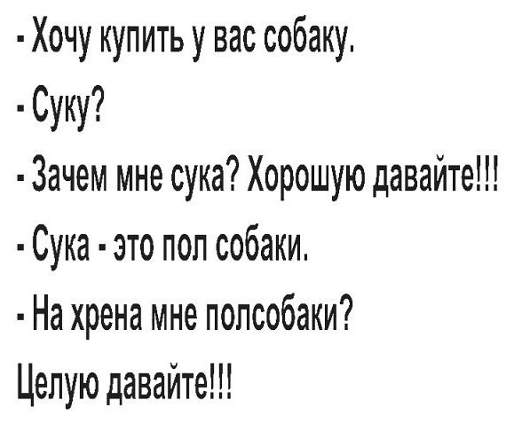 Анекдот про пол собаки