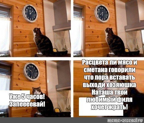 Мемы с котом и часами