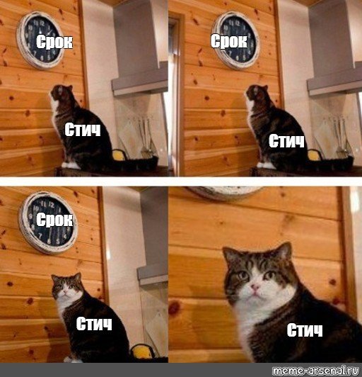 Мем кот часы пора