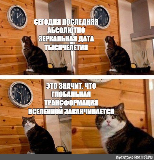 Кажется я опоздал кот Мем