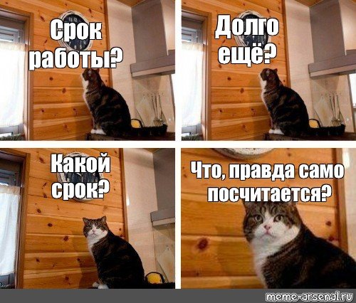Мемы с котом и часами