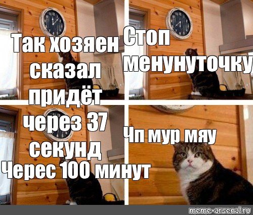 Шаблон мема кот с часами