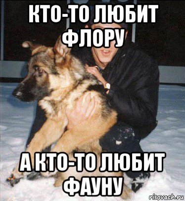 Панин и собака приколы