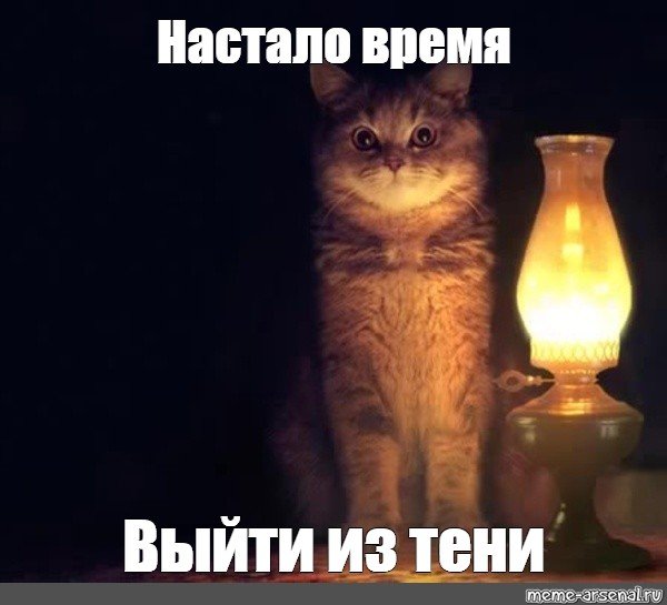 Кот из мема пора